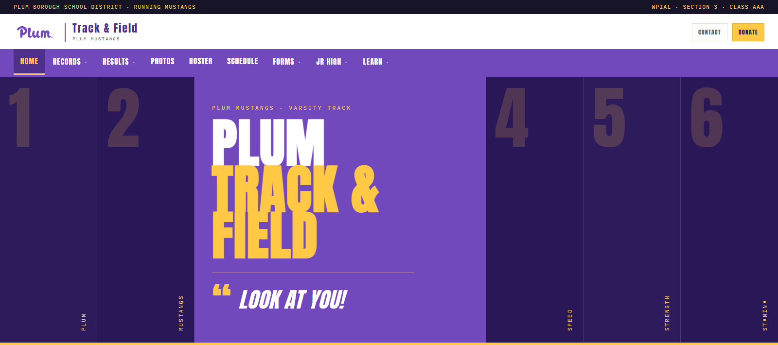 Plum Track & Field project screenshot